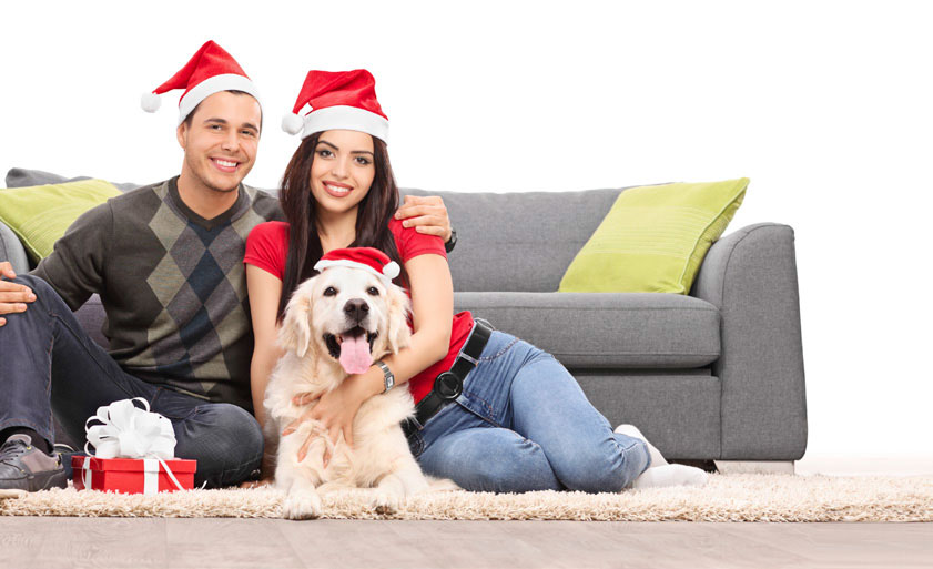 Keep Your Pets Safe This Holiday Season